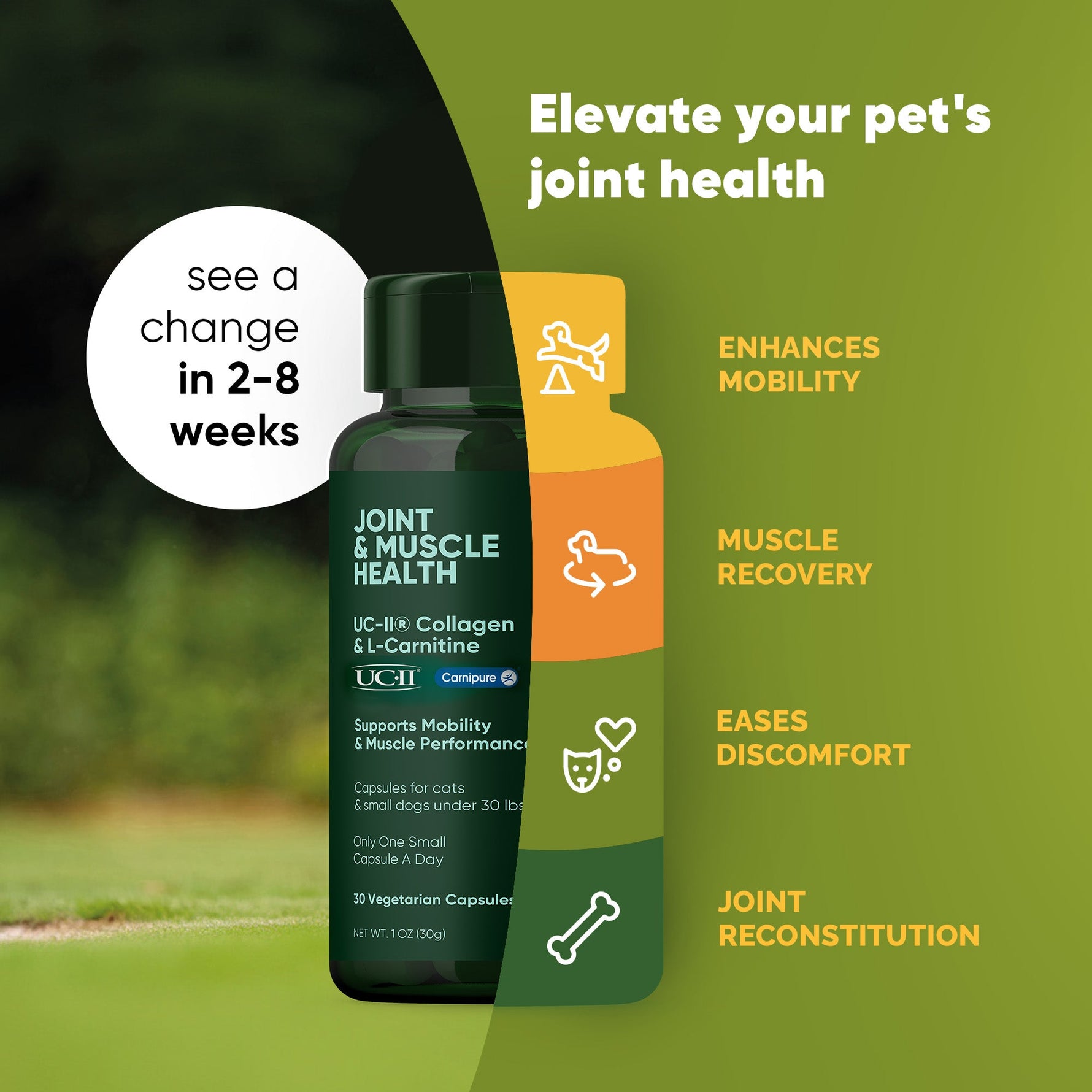 Joint & Muscle Health (Medium & Large Dogs)