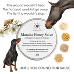 Manuka Honey Salve for Dogs, Horses & Humans
