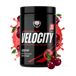 VELOCITY