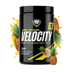 VELOCITY